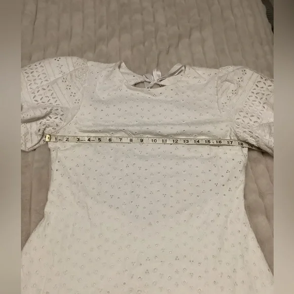 Free People Apricot Rose Mini Dress. Eyelet dress - Picture 12 of 14